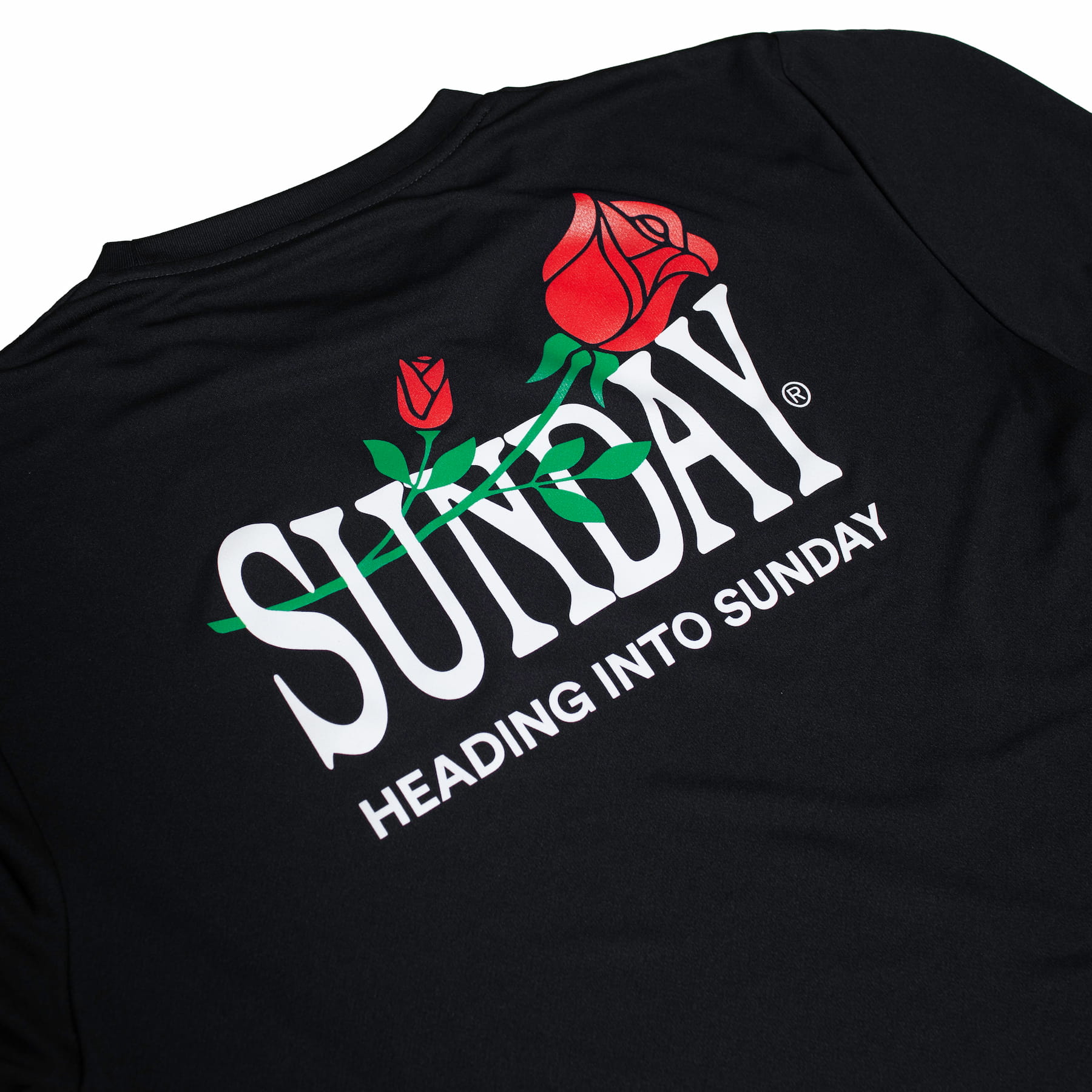 Heading Into Sunday Parade Performance Long Sleeve T-Shirt - Back Detail